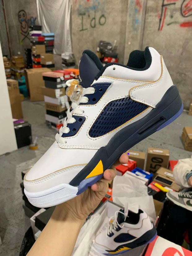 Air Jordan 5 Retro Low Dunk From Above