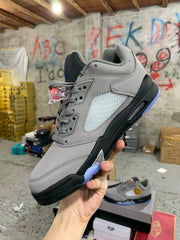 Air Jordan 5 Low
