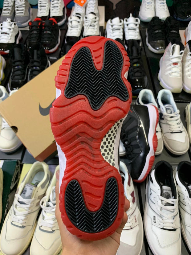 Air Jordan 11