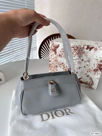 Dior armpit bag available in four colors