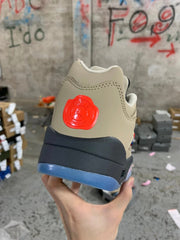 Air Jordan 5 Retro low