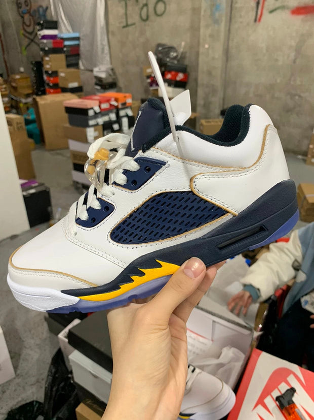 Air Jordan 5 Retro Low Dunk From Above