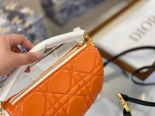 Dior hobo
