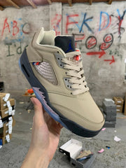 Air Jordan 5 Retro low
