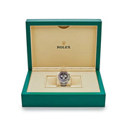 Rolex Daytona 116599RBOW ‘Rainbow’ White Gold Black Dial Sapphire Bezel (2022)
